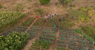 This Samu village scheme is using climate smart agricultural practices to mitigate the effects of climate change in the region, Mwanza District. Photo: Chris Gagnon/Concern Worldwide
