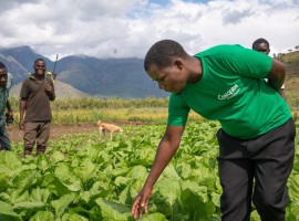 Concern staff member Timothy Kampira advises two farmers in Phalombe, Malawi. Photo: Chris Gagnon/Concern Worldwide