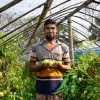 Esanuel Kabir is a programme participant in the CRAAIN programme and lead farmer. Photo: Gavin Douglas