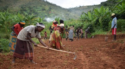 A group of 50 people work on restoring a 4km stretch of road in Rushanga as part of a cash-for-work initiative run by Concern to open up inaccessible areas and provide additional income for vulnerable households. In Gitega, more than 2,000 people have benefited from the community resilience programme. Photo Darren Vaughan