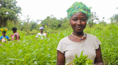 Kadiatu Conteh picking amaranth leaves in the community vegetable garden. She is part of the Tawopaneh (let's hold ourselves together) Women's Group. The LAAN or Linking Agriculture, Natural Resource Management and Nutrition programme is run by Concern Worldwide and Welthungerhilfe. 