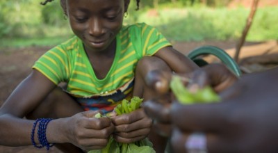 Seven-year-old Davilla helps her aunty Claudia Batene prepare squash leaves for the family meal. The squash leaves are cultivated from seeds provided by Concern. The family also received groundnut, bean and sesame seeds, tools - including two machetes and a hoe - and farming skills. Photographer: Chris de Bode