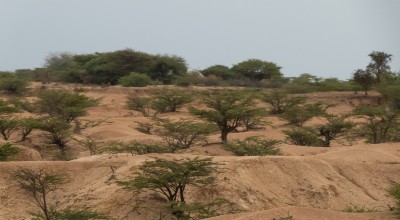 The harsh, arid landscape between Hargeisa and Borama.