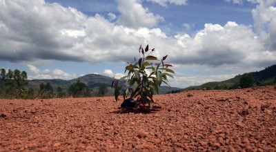 Soil erosion in Burundi. Photo: Chris de Bode/Panos Pictures / Concern Worldwide.