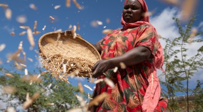 Jazaka Salimu winnows mung beans in Makere village in Tana River County. Photo: Lisa Murray/Concern Worldwide