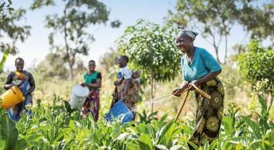 Global Hunger Index 2024 cover