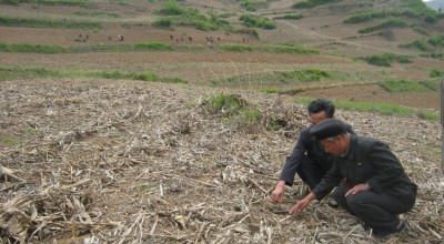 Mr. Jong is describing how conservation agriculture could improve livelihoods and food security of farmers in this area, Kangwon Province, DPRK. Photo: Catherine Dunnion.