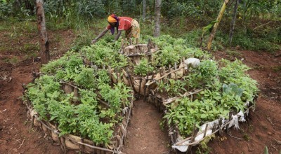 Victoria Macumi tending to her kitchen garden in Burundi