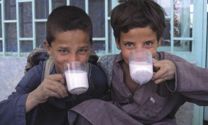 Concern Worldwide (UK)'s Annual Report 2004