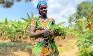 Beatha Uwitonze (33), married to Daniel and mother of three children tends to her home garden in Muganza, Gisagara. Beatha is president of two farmer field associations. Photo: Eugene Ikua/Concern Worldwide