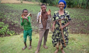 Female Ethiopian farmer with her sons in her field