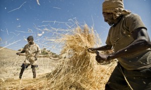 Men gather straw on their farm in the rural area of Sokota, Ethiopia. Panos/Sven Torfinn 2008.